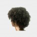 Human hair wig short Afro Curly Color 2